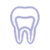 Icon Root Canal
